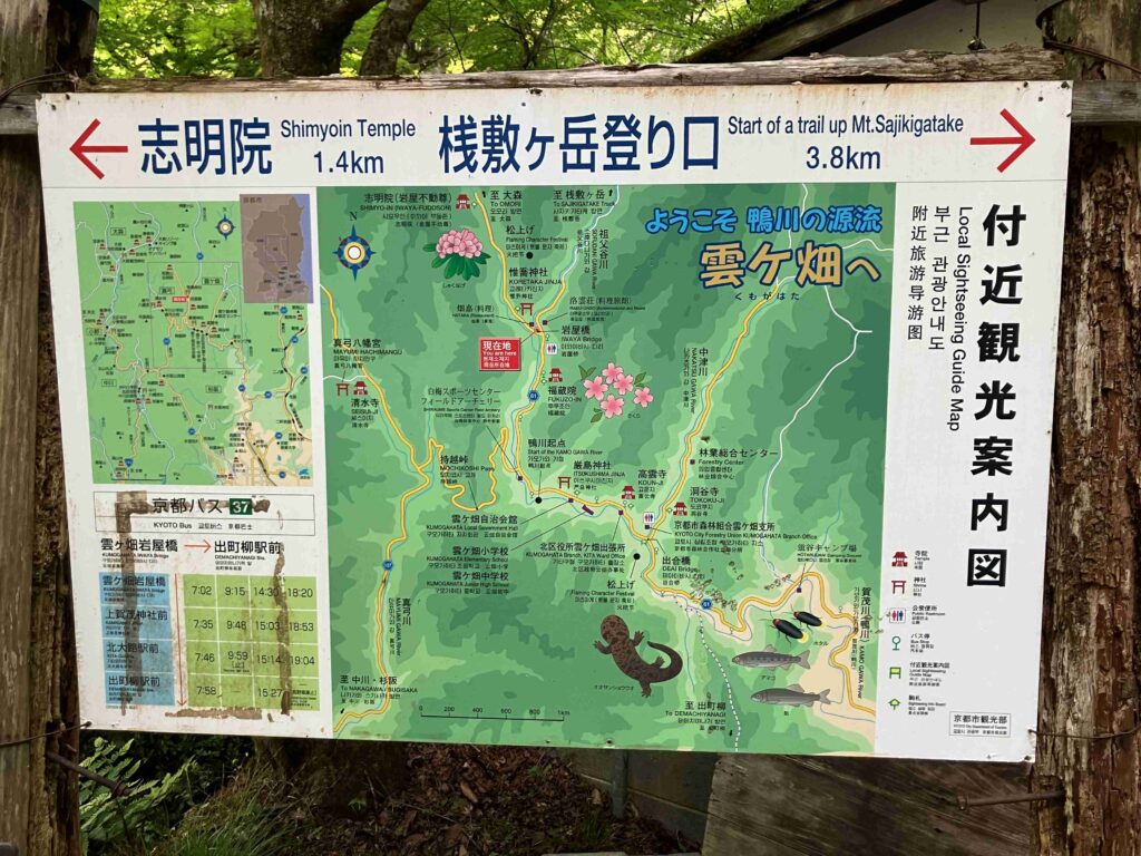 11. 観光案内